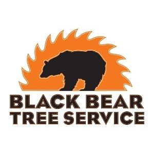 Black Bear Tree Service