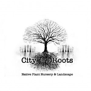City Roots Nursery