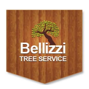 Bellizzi Tree Service