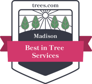 Best Tree Services in Madison, Wisconsin Badge 2