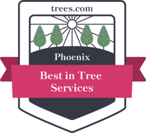 Best Tree Services in Phoenix, Arizona Badge