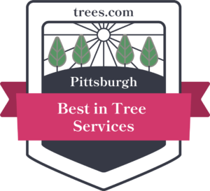 Best Tree Services in Pittsburgh, Pennsylvania Badge