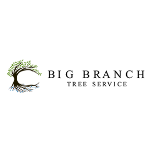 Big Branch Tree Service