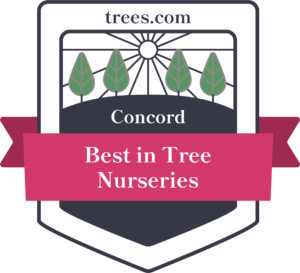 Concord Tree Nurseries Badge