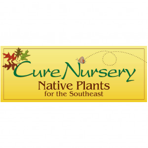 Cure Nursery