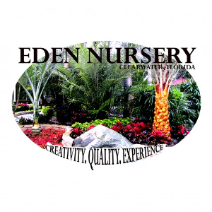 Eden Nursery