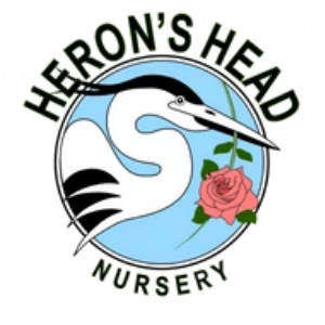 Heron's Head Nurseryy