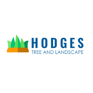 Hodges Tree and Landscape