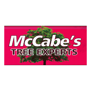 McCabe_s Tree Experts