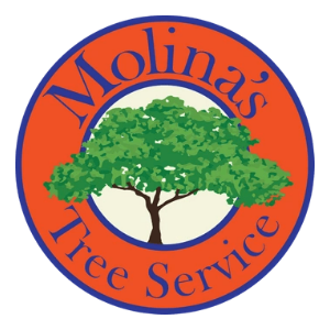 Molina's Tree Service and Landscaping, LLC