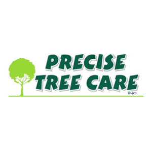 Precise Tree Care