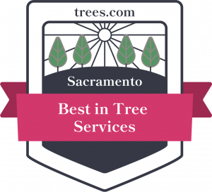 Sacramento Tree Services Badge