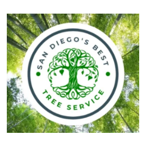 San Diego_s Best Tree Service