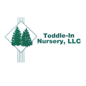 Toddle-In Nursery LLC