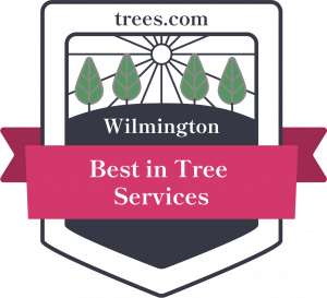 Wilmington Tree Services Badge