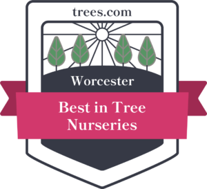 Worcester Tree Nurseries Badge